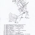 14 Tamatave Janvier 1955